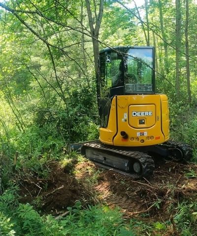 Stump and Brush Removal