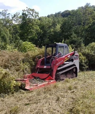 brush cutting services in kawartha lakes