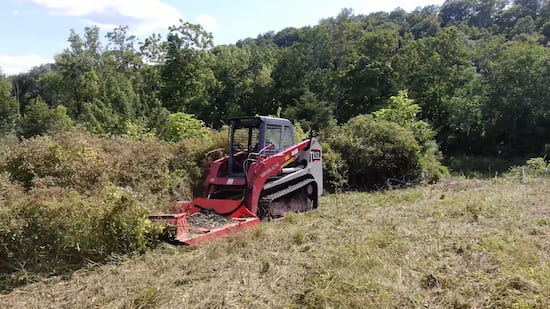 land-clearing-